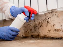 Best Mold Prevention Services  in University Heights, OH